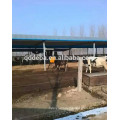 Kuhbürste / Kuhkörperbürste / Vieh-Bauernhof-Ausrüstung